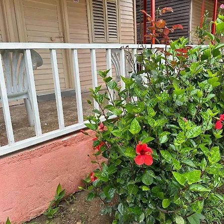 Toll Garden 3* Сіде