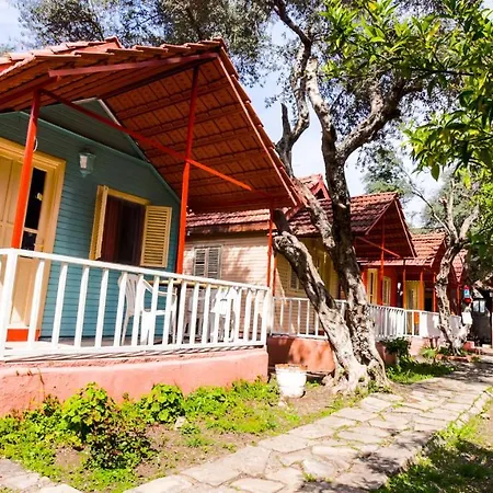 Toll Garden 3* سيدي