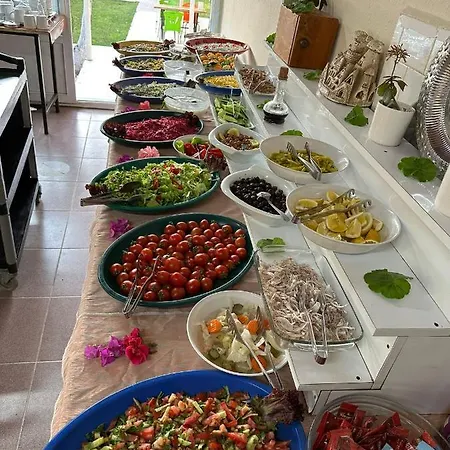 Toll Garden فندق 3*