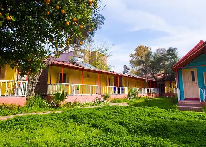 Toll Garden Hotel 3*