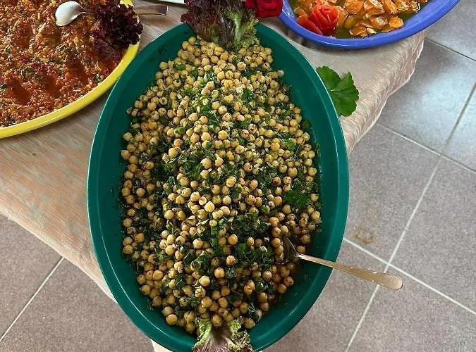 Toll Garden Szálloda 3*