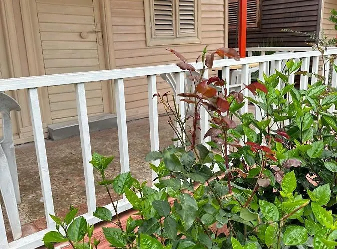 Toll Garden Сіде