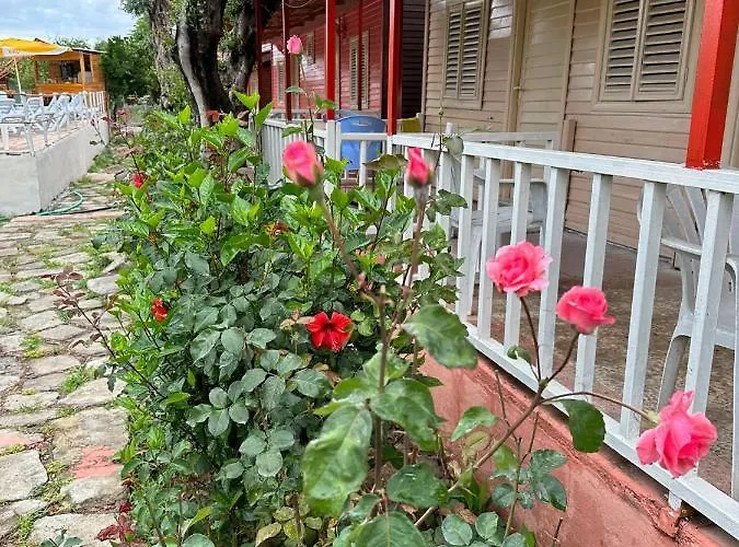 Готель Toll Garden Сіде